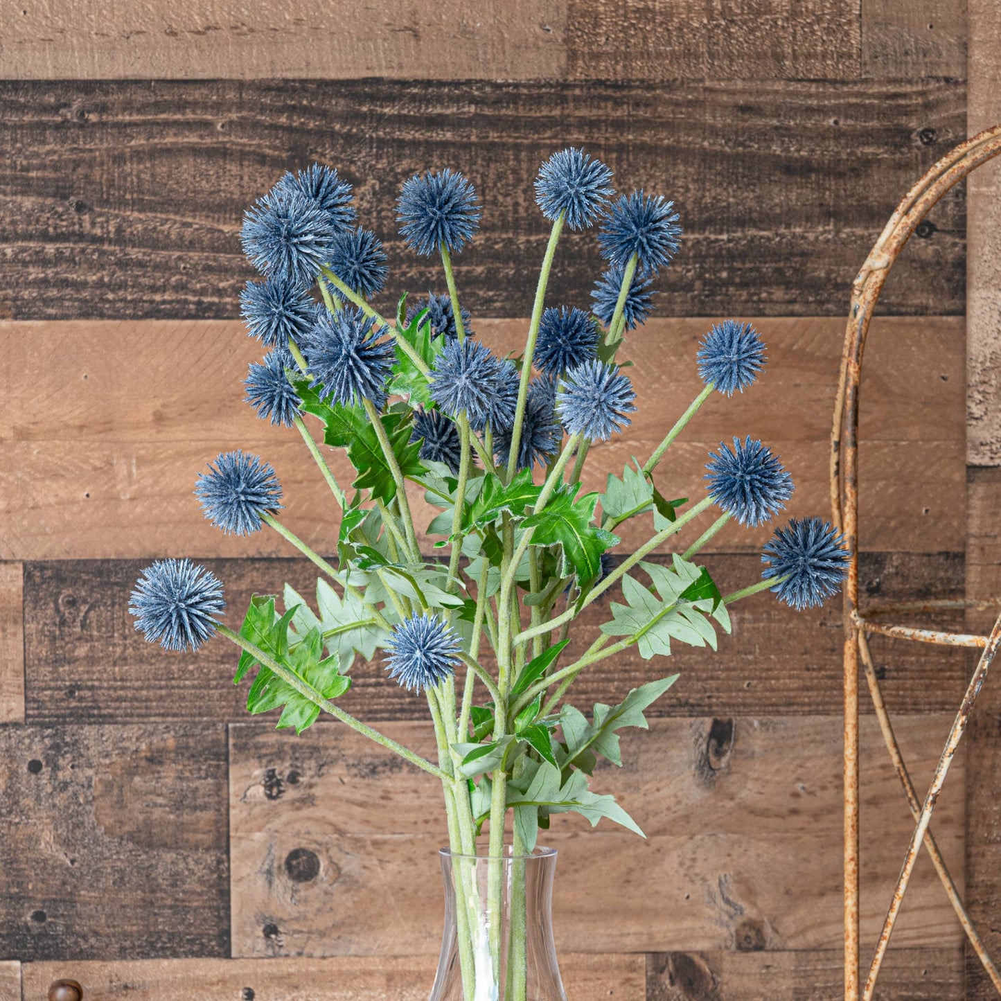 Echinops Spray Blue 25 Inch