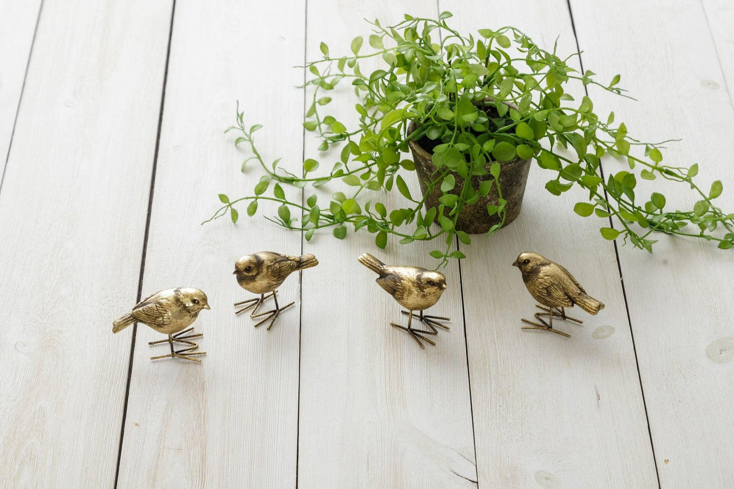 Figurines - Brass Birds - Marcel’s Culinary Experience