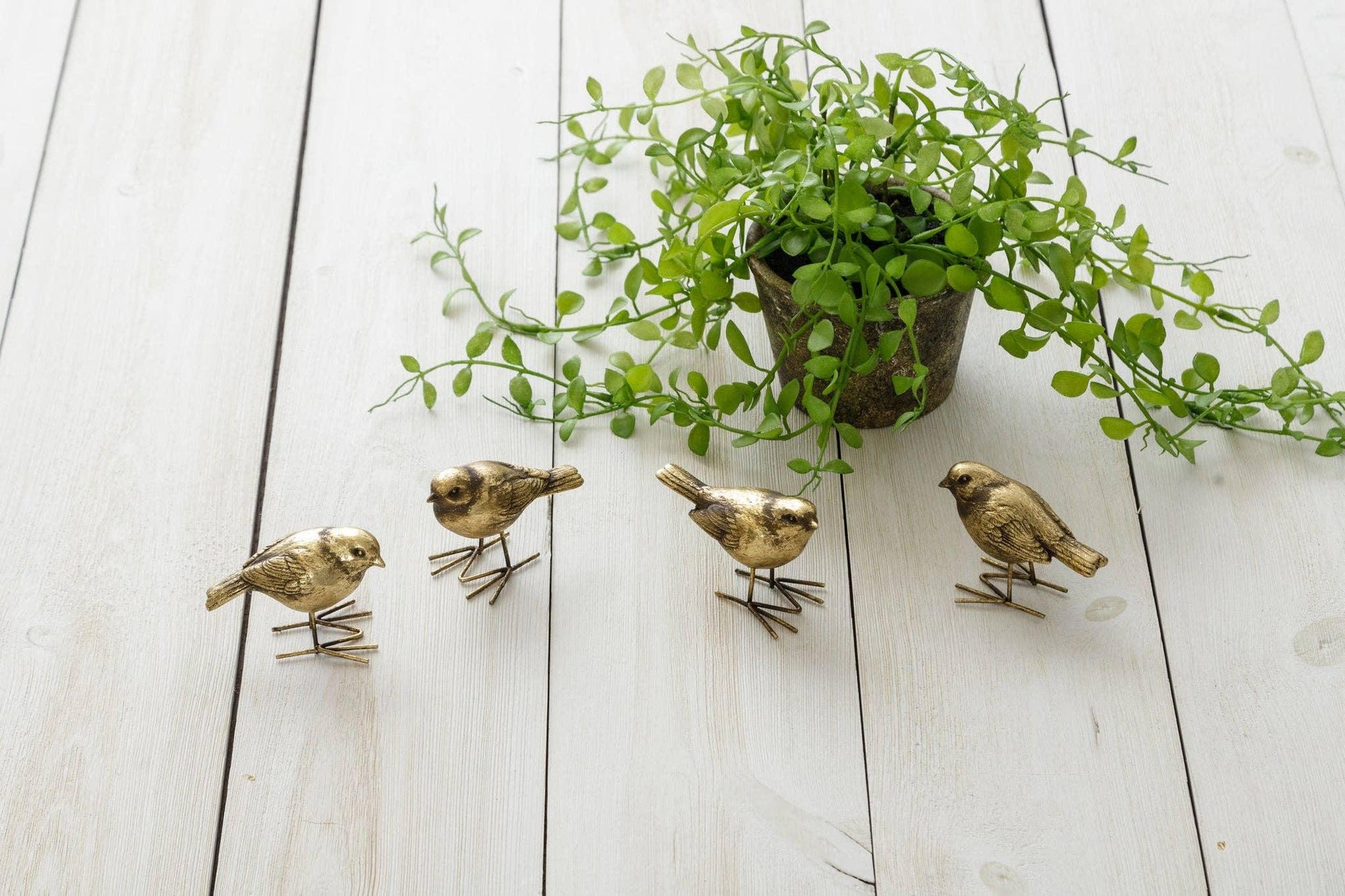 Figurines - Brass Birds - Marcel’s Culinary Experience