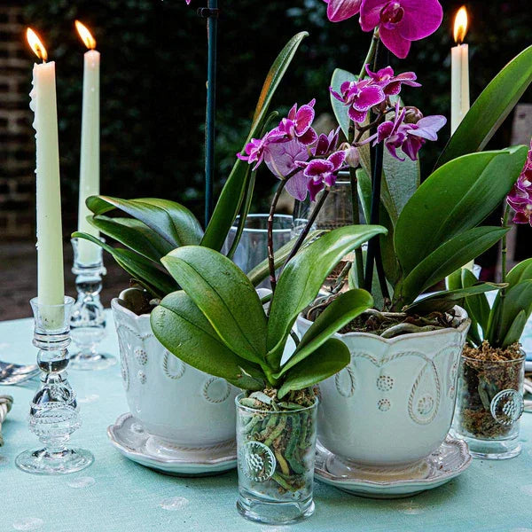 Juliska Berry & Thread Votive - Marcel’s Culinary Experience