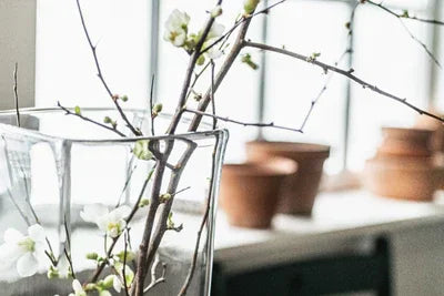 Simon Pearce Woodbury Vase M - Marcel’s Culinary Experience