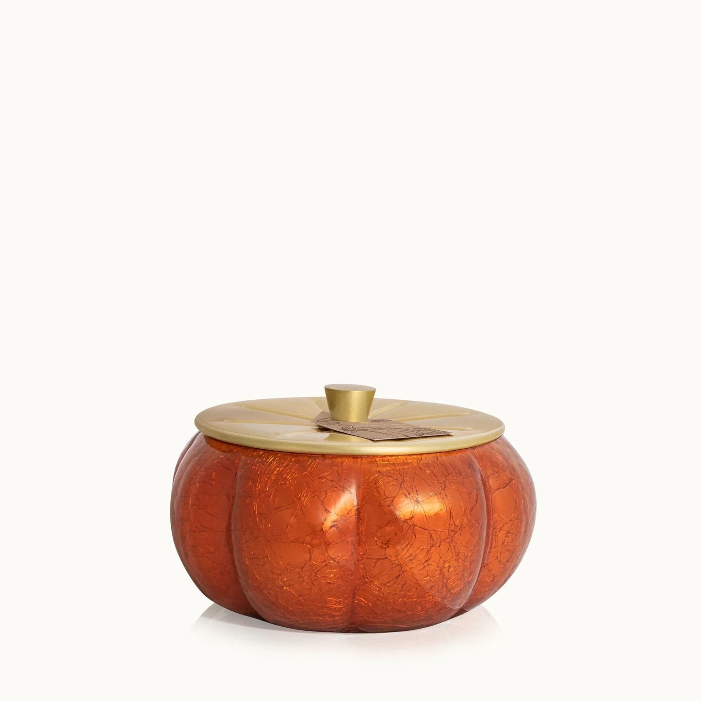 Thymes Pumpkin Laurel Statement Large Candle - Marcel’s Culinary Experience