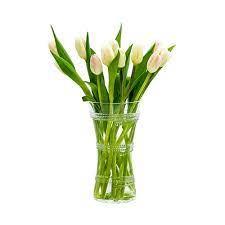 Juliska Ella 6" Corset Vase - Marcel’s Culinary Experience