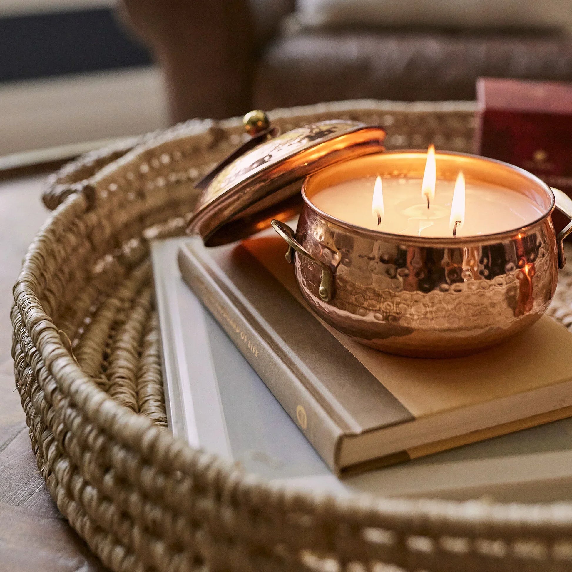 Thymes Simmered Cider Copper Pot 3-Wick Candle 18oz - Marcel’s Culinary Experience