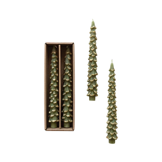 Tree Shaped Taper Candles with Gold Tips in Box, Evergreen Color, Set of 2 - Marcel’s Culinary Experience