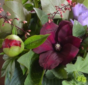Peonie and Clematis Flowers